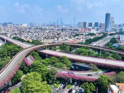 重磅！南方日报邀请8位专家解读党的二十届四中全会精神