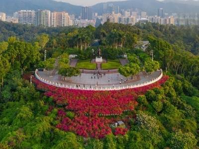 火炬传递邂逅“创新之城”！十五运会深圳火炬传递将有直升机参与