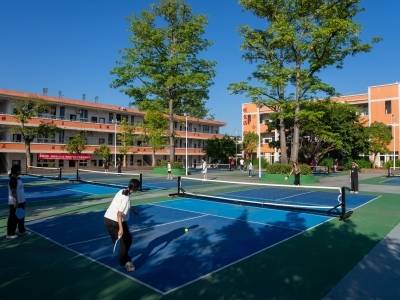 小球如何撬动山区发展活力？韶关邓坊镇有样本