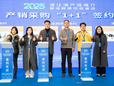 推介会结束24小时！湛江生蚝“飞”往贵阳，湛江加快开拓海鲜产品西南市场