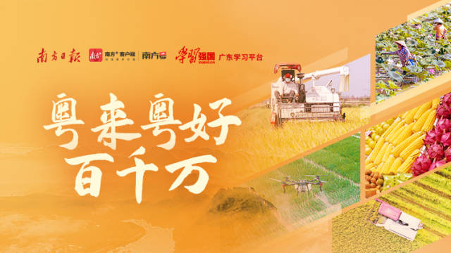 助力心仪作品冲奖！“粤来粤好百千万”南方号融媒作品爆款大赛终评展示来了