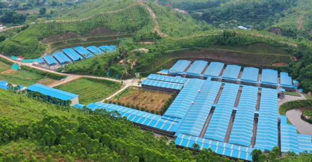 宝宁农牧公司养殖场