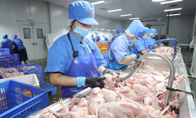 来源：梅州日报