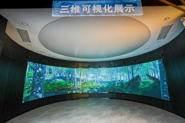 广东省林草湿虚拟仿真与三维可视化平台  