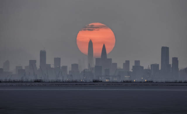 @优质内容创作者，深圳4+1区发布扶持政策包诚邀你来！