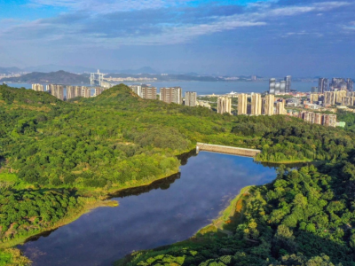 广州南沙：以自然城市之名，绘就大湾区人与自然共生新图景