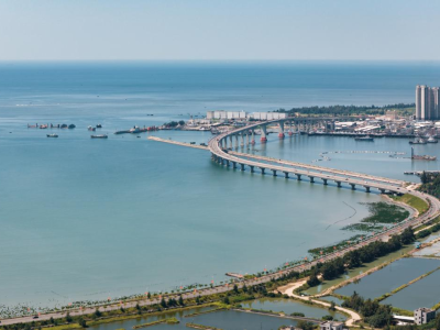 绿廊连碧海 公路展诗卷 | 茂名滨海漫游图鉴