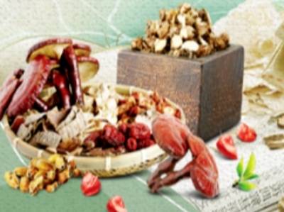 藏在广东的宝藏：这些南药，价值何止千金？| 南药食养①