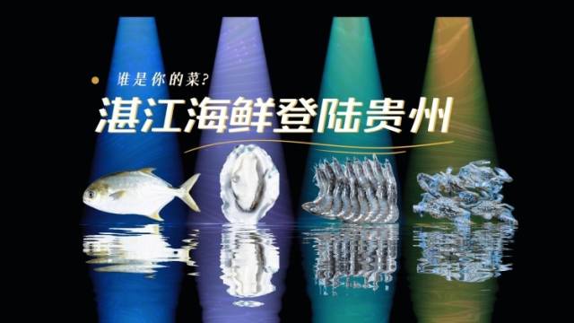 10月26日，湛江海鲜登陆贵州，谁是你的菜？
