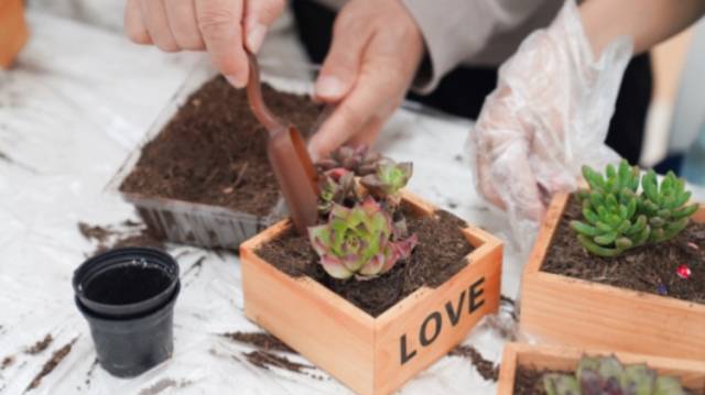 宝安区“无废城市”建设宣传进社区，开启咖啡渣的“新生”计划