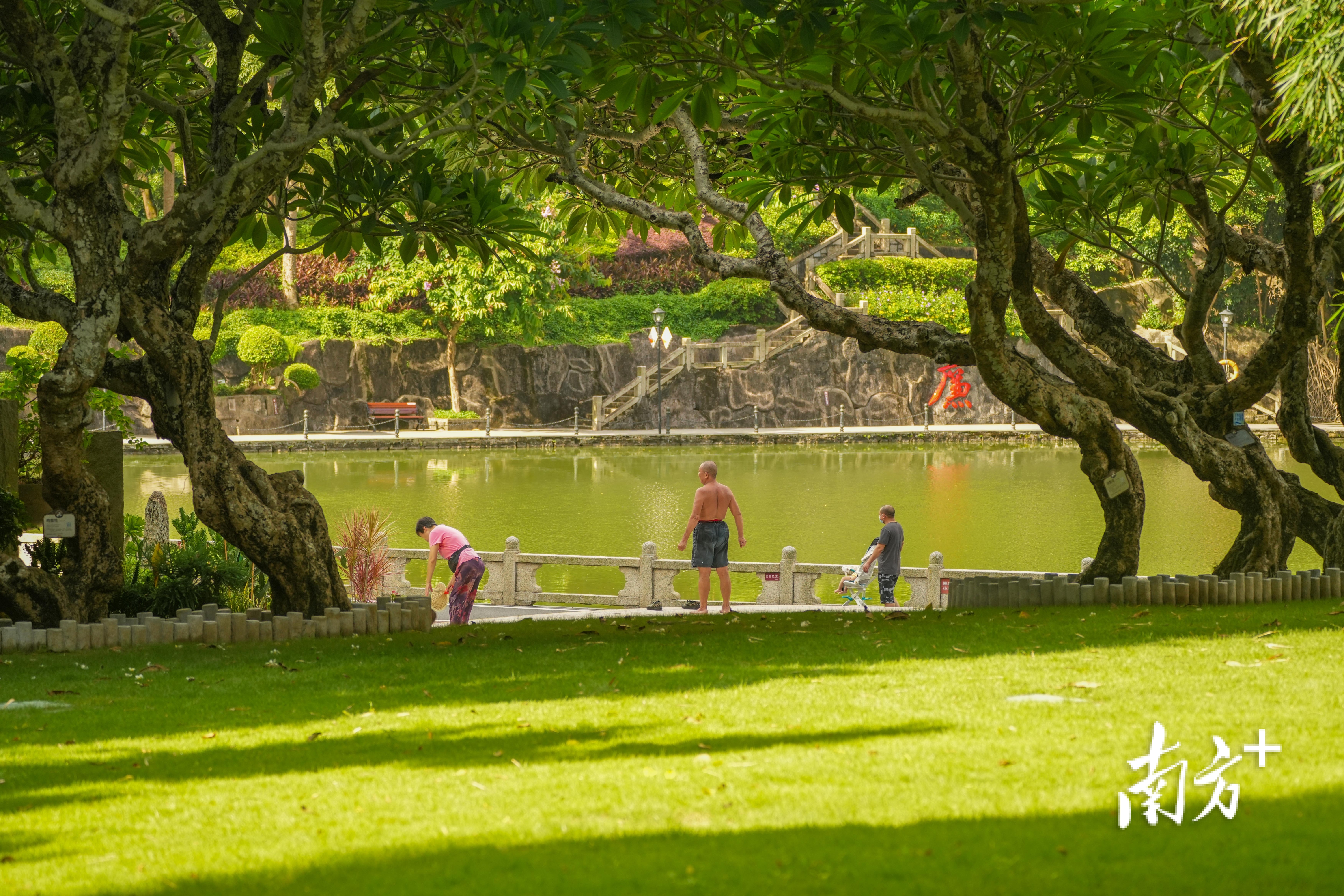 清晨，老年人运动健身的身影早已融入城市的肌理。  