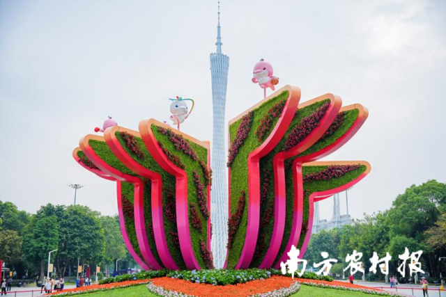 “广·木棉”作品 “广·木棉”作品