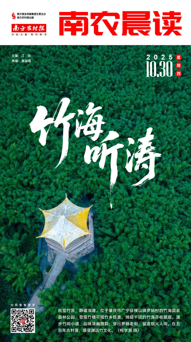 南方农村报 李嘉镓 制图