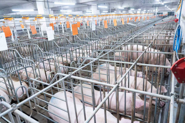 凭借全省最先进的畜禽粪污资源化利用设施，东瑞探索走出了生猪养殖产业绿色转型发展的新路子。