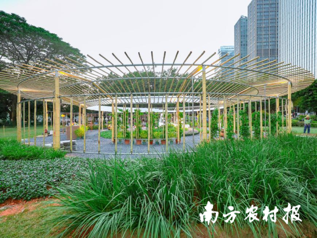 湾心花环——宋刚(华南理工大学) 湾心花环——宋刚(华南理工大学)