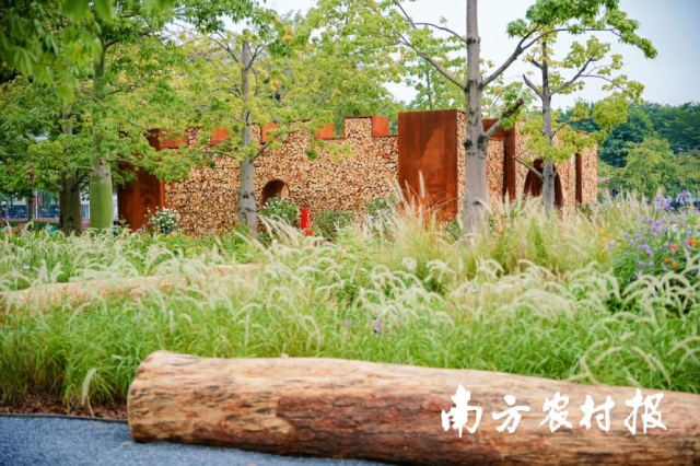 受访者供图花园之园-森林密语——Till Rehwaldt(德国) 受访者供图花园之园-森林密语——Till Rehwaldt(德国)