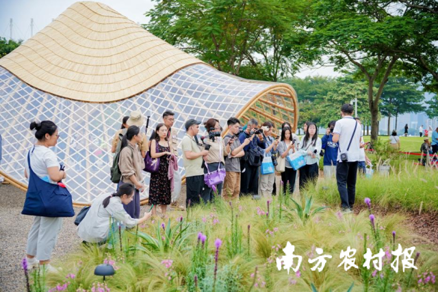 记者探营宏邦的奇妙花园 记者探营宏邦的奇妙花园