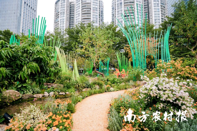 山海织光(深圳园) 山海织光(深圳园)