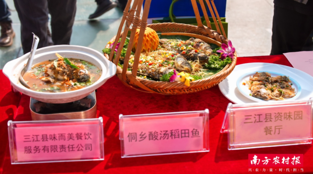 粤桂协作・2025年三江油茶美食大赛佳肴。