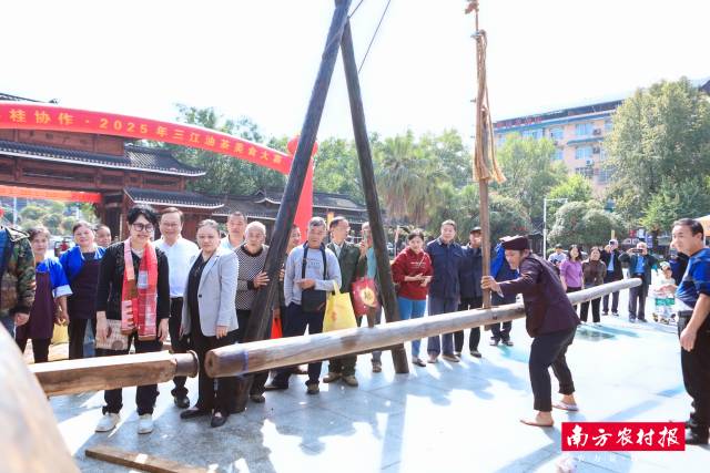 粤桂协作・2025年三江油茶美食大赛现场展示三江茶油传统榨油技艺。