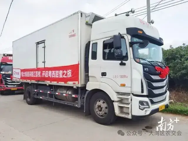 6月5日,钱大妈阳江荔枝直采基地发车仪式在阳西县上洋镇那西村举行。