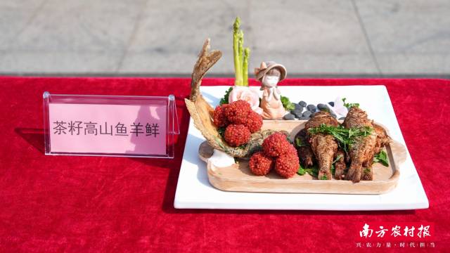 三江茶油美食。