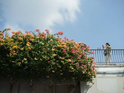 推进“美丽全运”，广州本月空气达标天数提升至92.3%