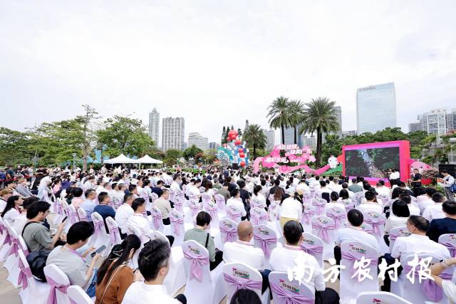 全省联动举办260+场活动！第六届广东省森林文化周启幕