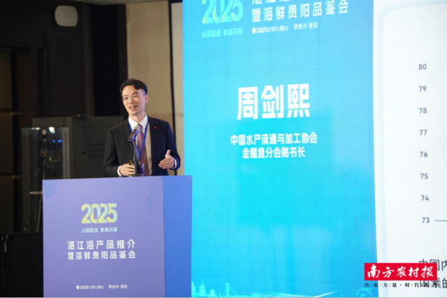 湛江金鲳鱼：游向世界的“海上黄金”