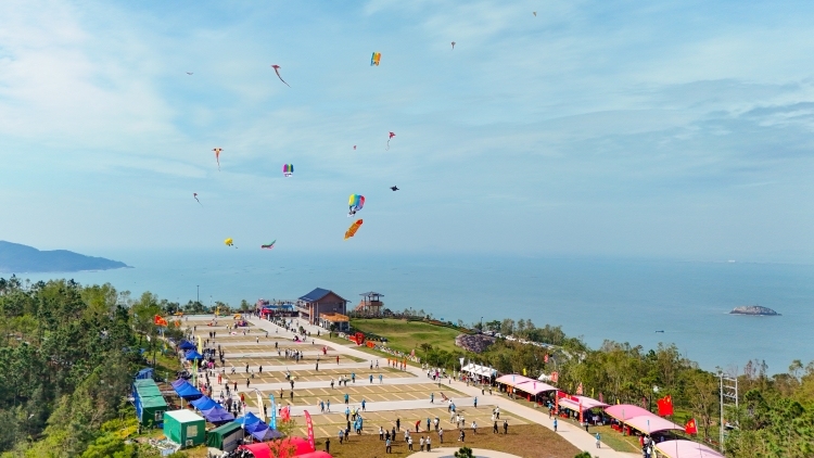 图说阳西｜风起鹞舞，云端“筝”霸