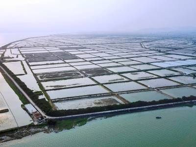 一只青蟹的“触网”远行 | 速览《南方日报·汕头观察》第704期