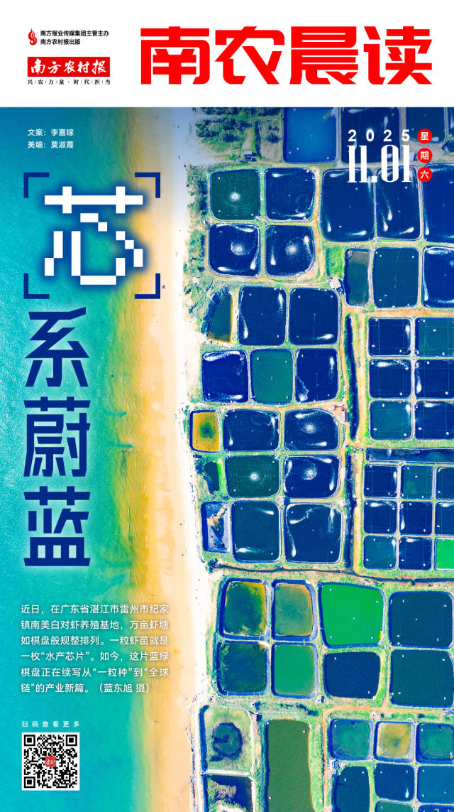 南方农村报 吴俊麒 制图