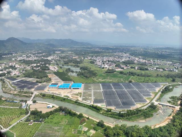 注入科技力量!喻景权院士指导“岭南蔬菜之乡”建设