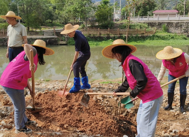 开展绿美河西建设