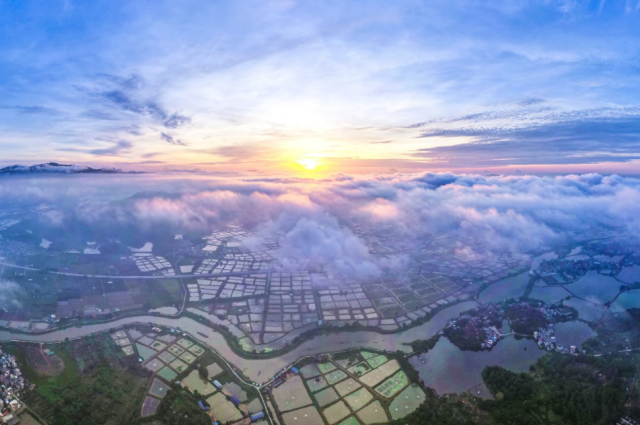 ▲ 高要区白土镇万亩虾塘。翟显华 摄