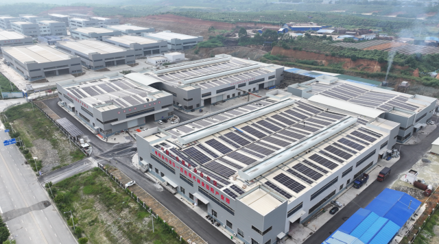 百色现代林业田阳区产业园。宋俊良摄