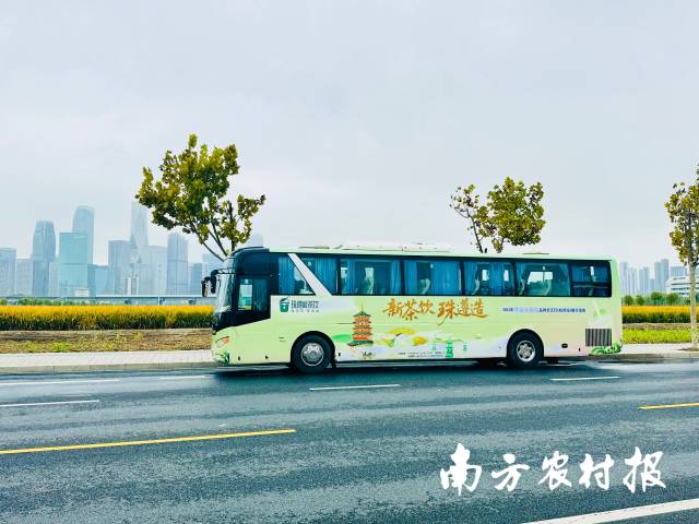 “珠遵新茶饮”主题巴士在杭州穿城而过 “珠遵新茶饮”主题巴士在杭州穿城而过