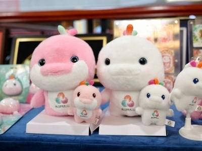 何超琼、龚翔宇……十五运会澳门赛区的火炬手，是他们！