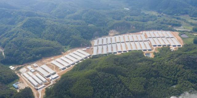 佳润荣安公司布辰高效养殖小区。