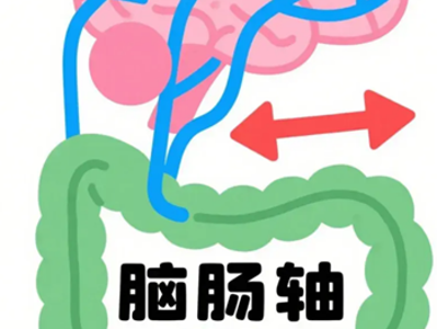 压力大就胃痛、没胃口？揭开肠脑轴的神秘面纱