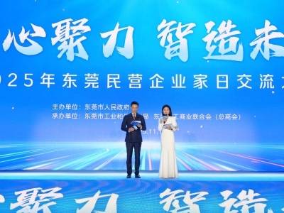 以硬举措促民营经济创新发展，东莞举办民营企业家日活动