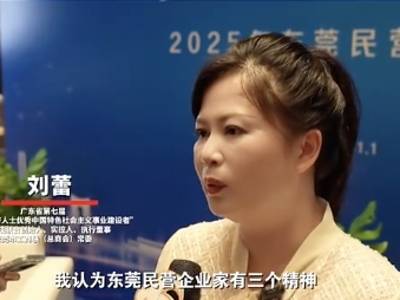 民企论见｜刘蕾：务实、创新与榕树精神，铸就东莞民企韧性