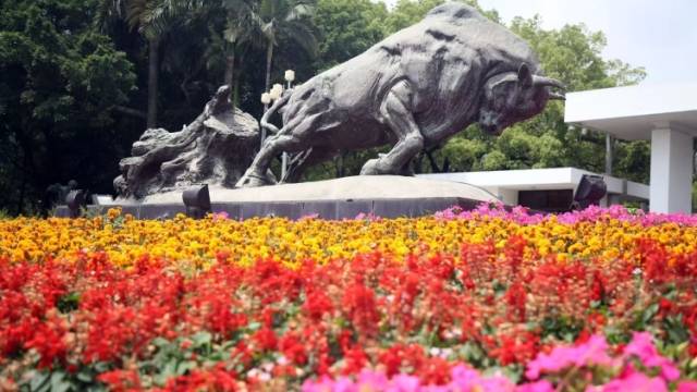 APEC2026，为何“花落”深圳？