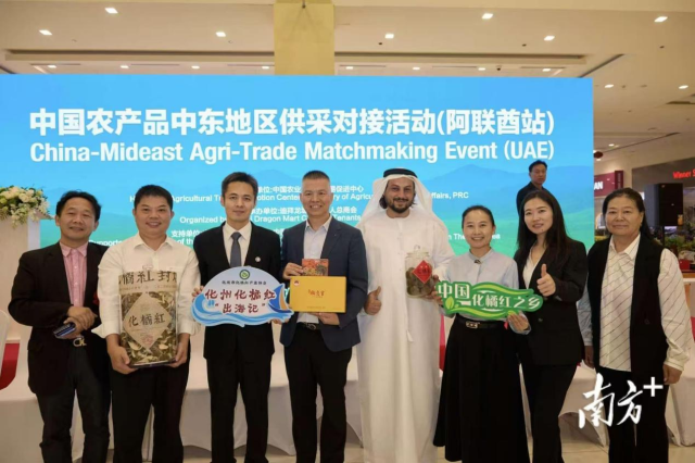 化州化橘红赴海外开展中国农产品供采对接活动，拓展海外贸易合作渠道。