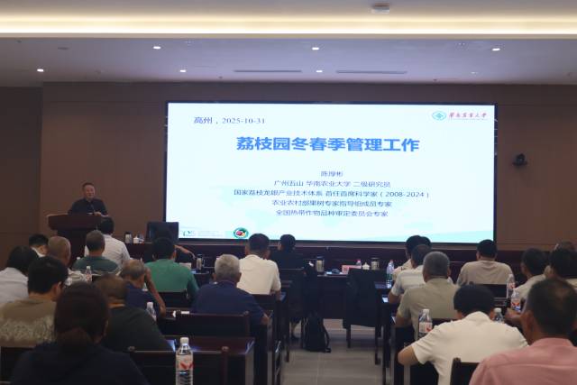 陈厚彬讲授荔枝园冬春季管理工作