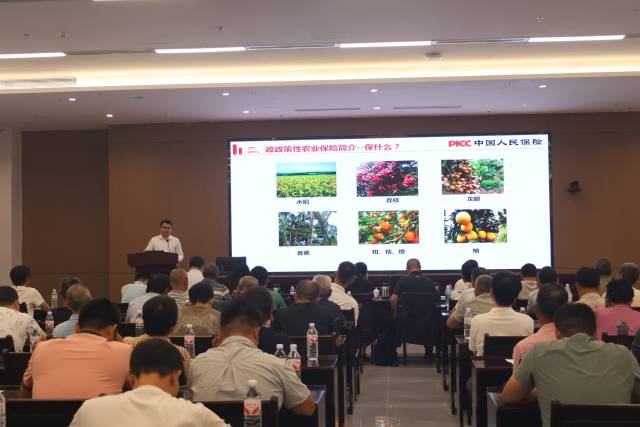郑东强作题为《冬季荔枝风险管理》的专题分享