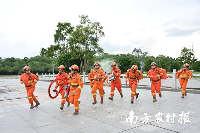 2025年广东省森林防灭火宣传主题活动上，组织进行森林防灭火实战演练