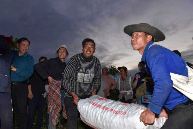 油茶喜迎丰收 油茶喜迎丰收