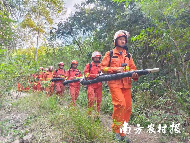 清远加强落实森林防火工作