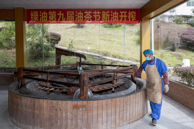 油茶开榨 油茶开榨